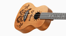 aNueNue U900 II  23” Concert ukulele (U900 IIS)