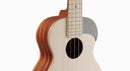 aNueNue UC 色彩系列 23 " Concert ukulele (UC10-AM)