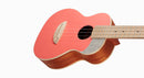 aNueNue UC 色彩系列 23 " Concert ukulele (UC10-LC)