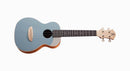 aNueNue UC 色彩系列 23 " Concert ukulele (UC10-BA)