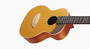 aNueNue UC 色彩系列 23 " Concert ukulele (UC10-GG)